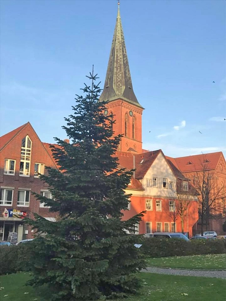 Weihnachtsbaum © Gemeinde Steinfeld - Hoffmann